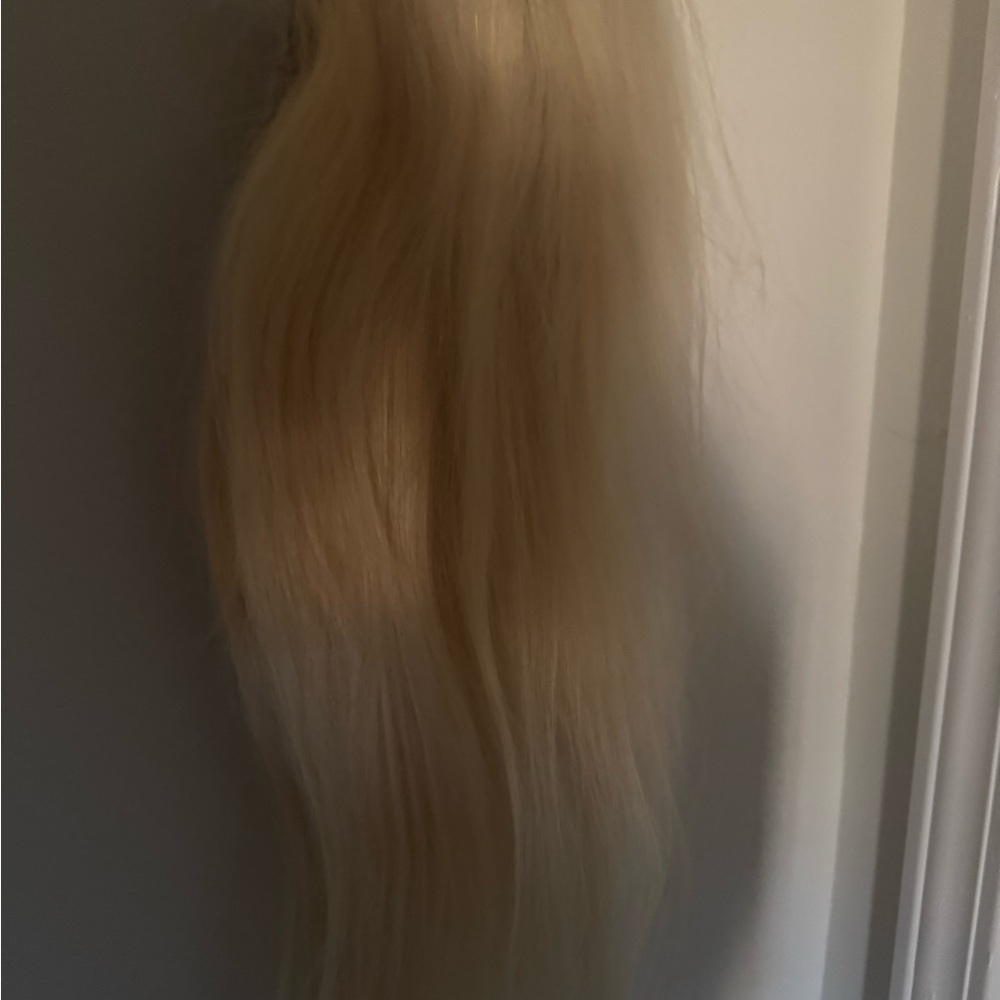 613 30 inch human hair wig